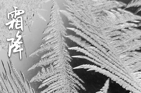 2023最有趣的霜降节气祝福语_小雪节气给父母的关怀祝福短信3篇